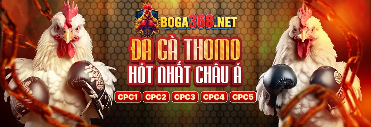 Sân đấu đá gà trực tuyến ff 66 sôi động